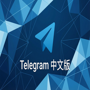 纸飞机中文版APK安装包下载及安全验证方法 - Telegram 官网